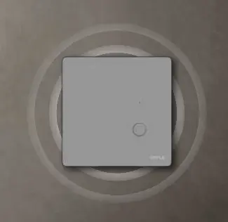 منتج